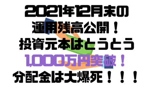 2021年12月末の運用残高公開！投資元本は1,000万円突破！値動きはそこそこも分配金は大爆死！